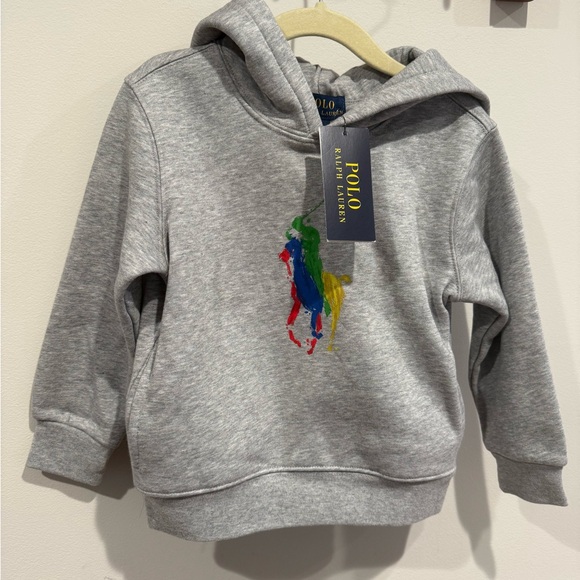 Polo Ralph Lauren Other - NWT Polo Ralph Lauren toddler Logo Rainbow Print Sweatshirt Size 3 Gray Hoodie